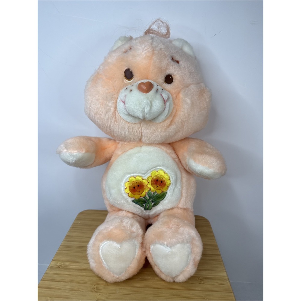 Care Bears Friend Bear 13 in Plush Bear 1983 American Greetings Kenner